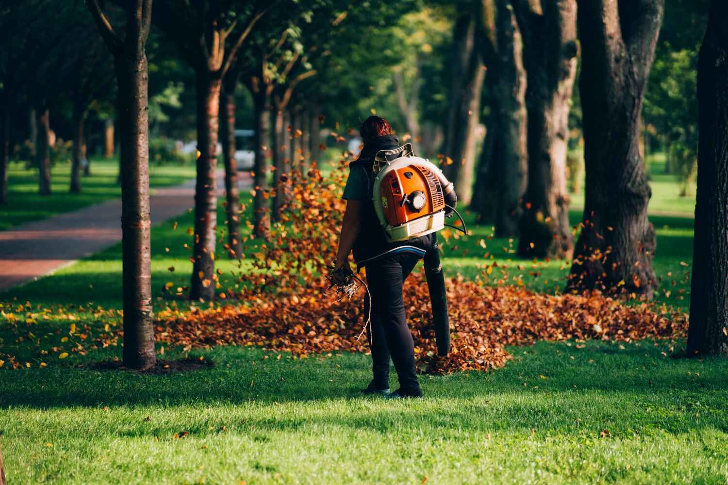 Best Dead Tree Removal  in Redby, MN